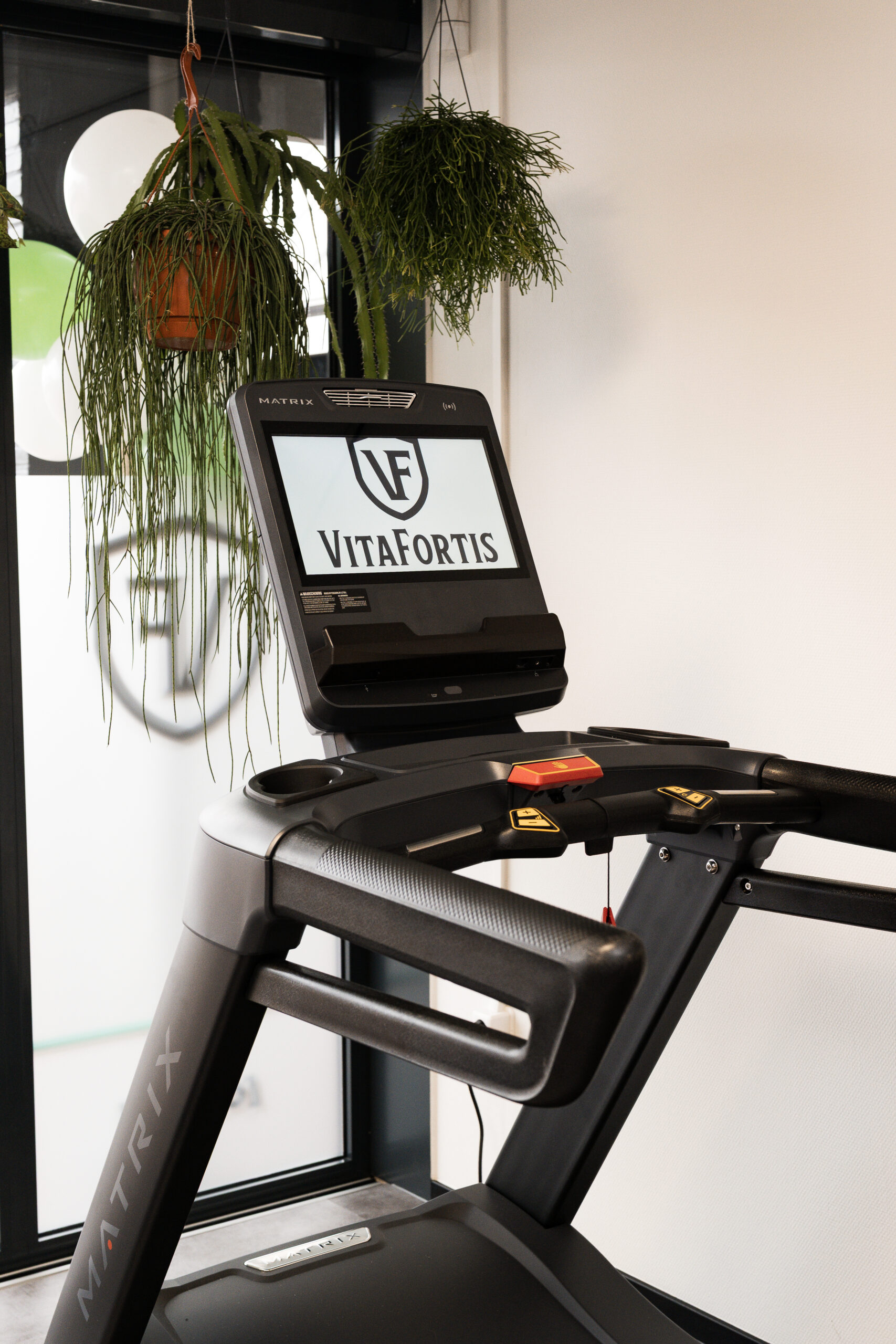 Een afbeelding met de hardloopband gecentreerd in de foto. Het is één van de apparaten waar Vita Fortis haar Fit in 30 minuten concept uitvoert